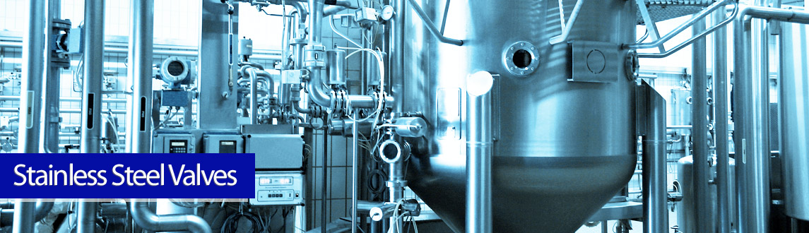 Stainless Steel Valves